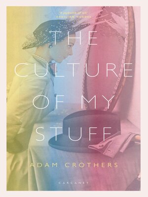 cover image of The Culture of My Stuff
